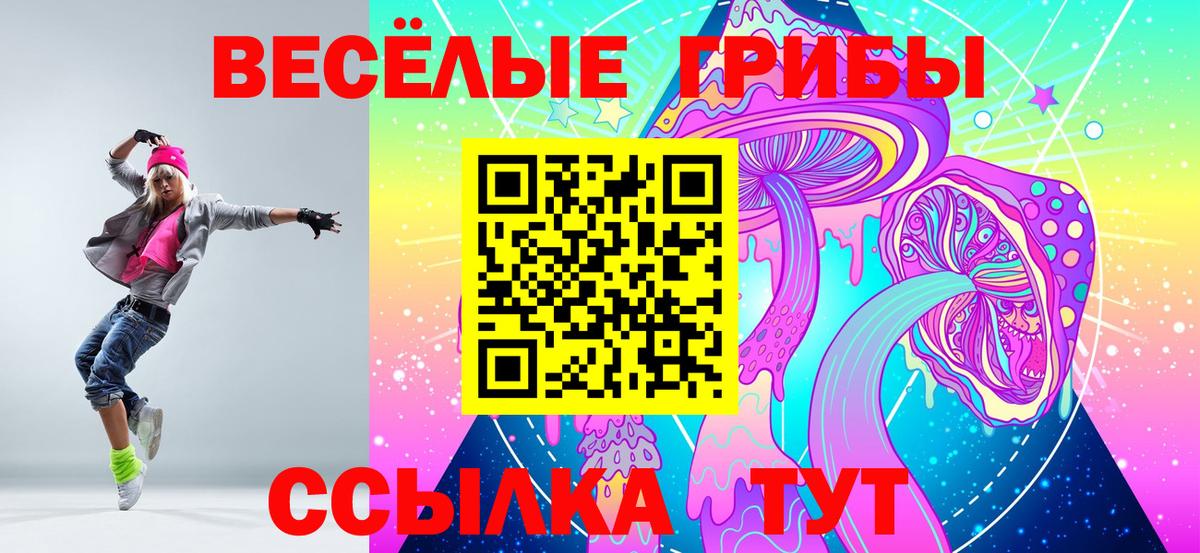 Галлюциногенные грибы Psilocybine cubensis Верхняя Пышма